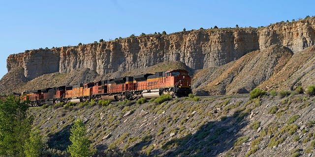 train transports freight 