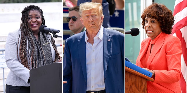 Cori Bush, Donald Trump Maxine Waters
