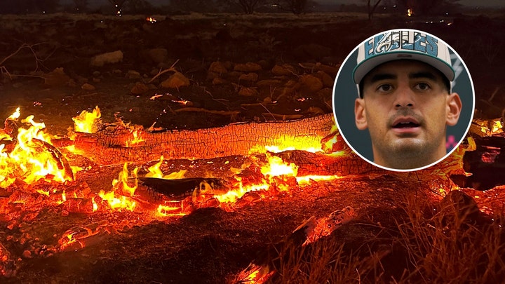 Deadly Hawaii wildfires devastate homes, businesses