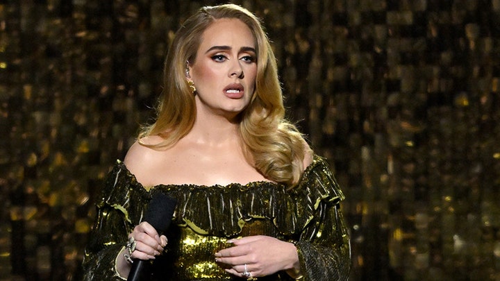 Adele stops mid-performance to yell at security for bothering a fan