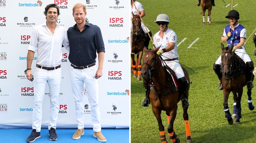 Prince Harry, Prince William need an intervention to end feud: expert