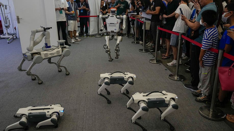 remote-controlled robot dogs perform in China