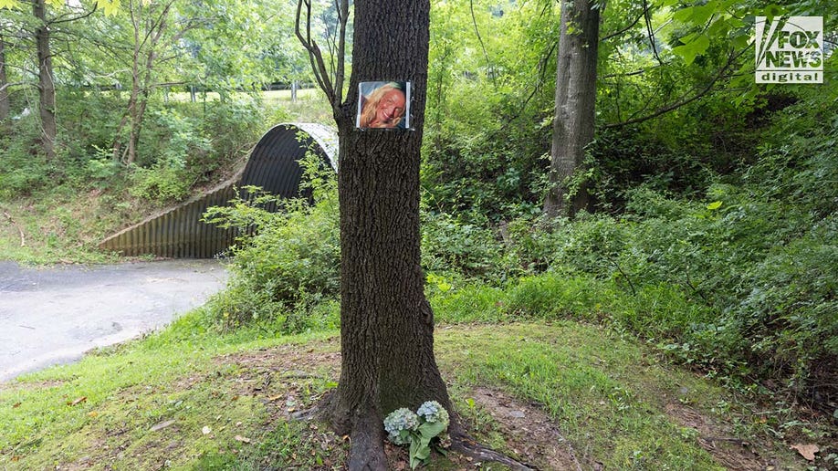A photo of Rachel Morin is posted on a tree along a hiking route