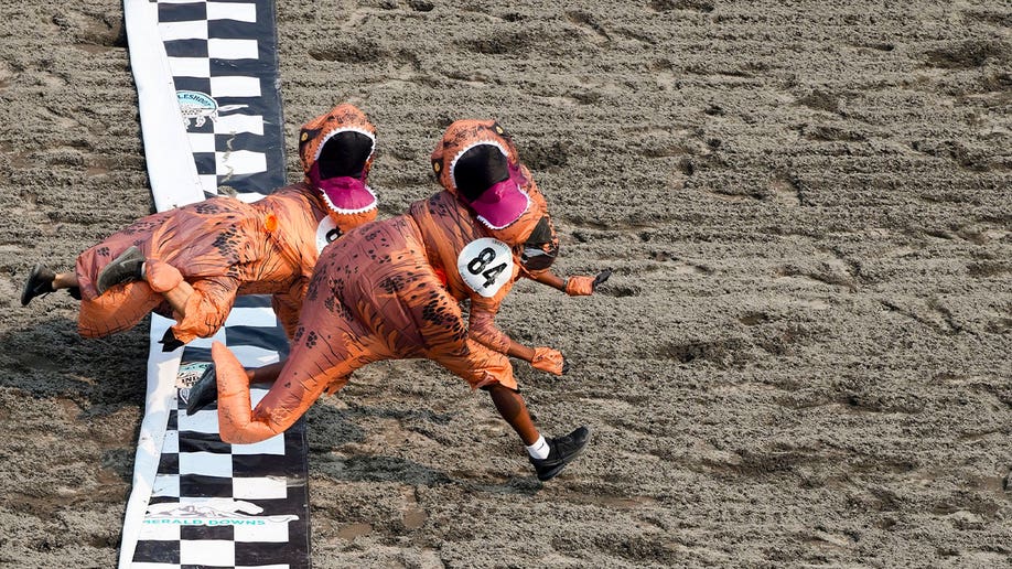 People in inflatable T. rex costumes race to finish line in first round