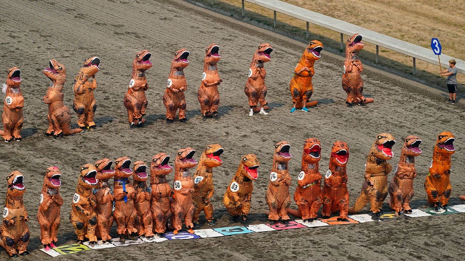 People in inflatable T. rex costumes line up to race