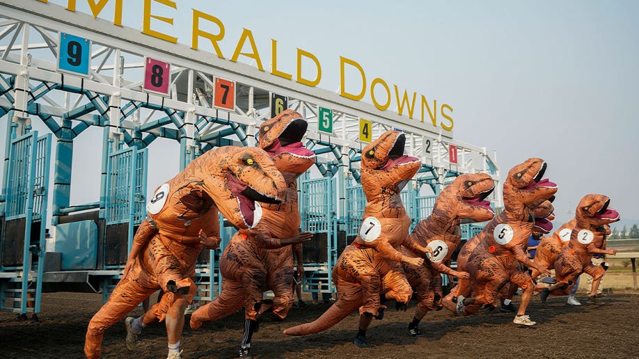 People in inflatable T. rex costumes begin race