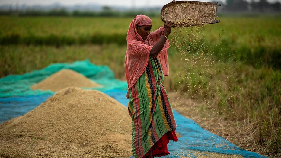 Global food prices rise after Russia pulls out of wartime grain agreement with Ukraine