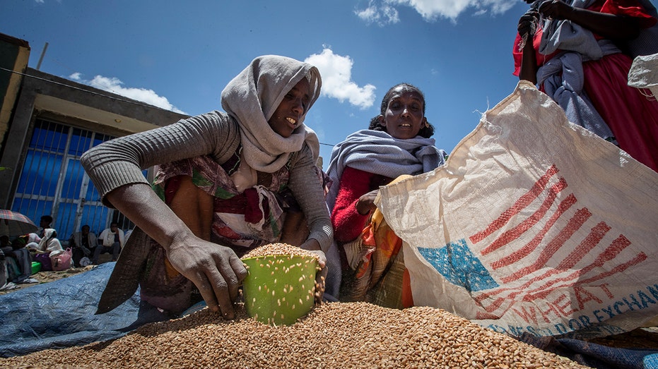 UN World Food Program slowly resumes food aid to Ethiopia after suspending program