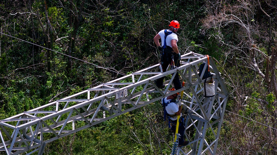 Environmentalist groups sue Puerto Rican government over planned location of renewable energy projects