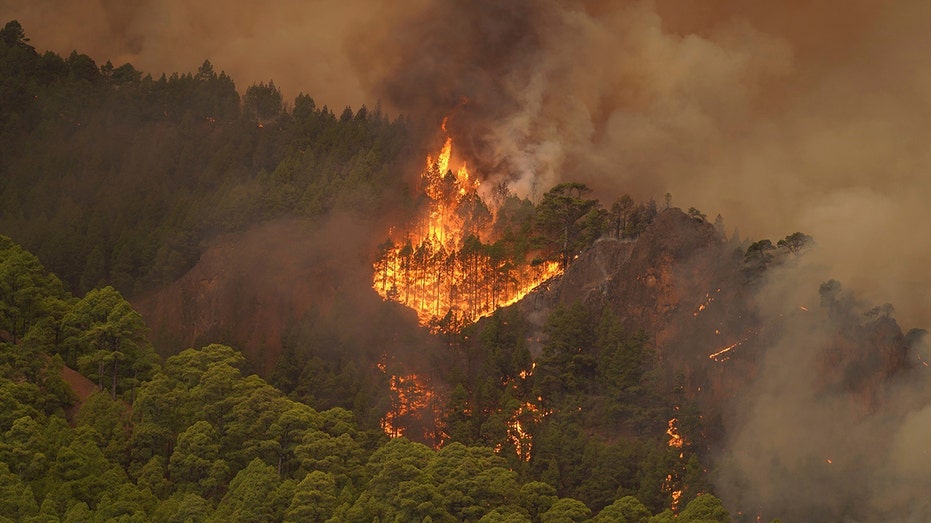 Out-of-control wildfire on Spanish island leads to thousands of evacuations