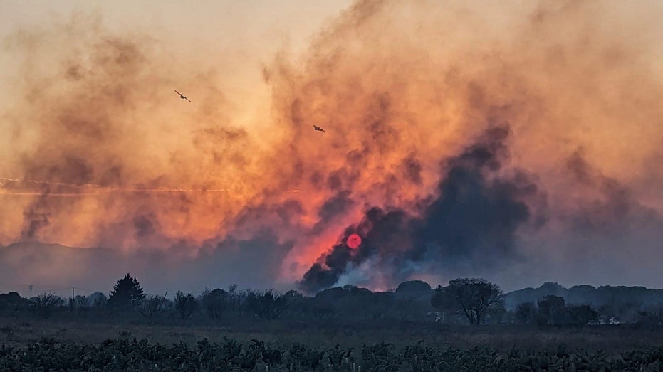 Wildfire near French seaside resort of Argeles-sur-Mer contained, vacationers begin returning to campsites