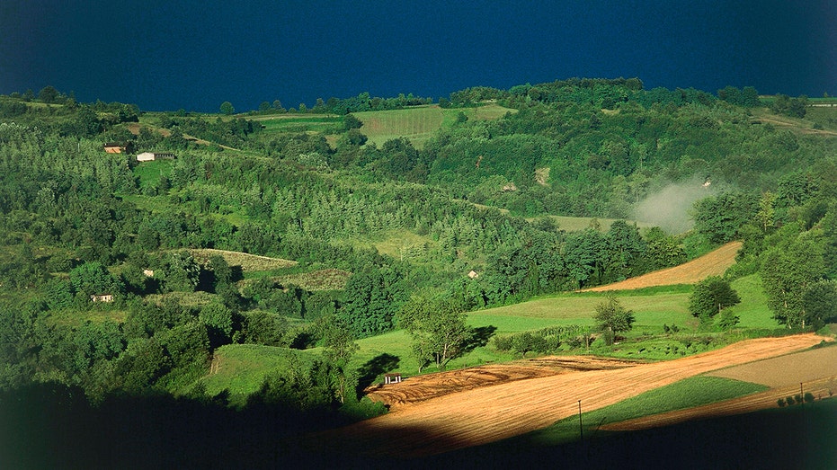 Italian police scour forest in search of Dutchman who was accused of fatally stabbing his father