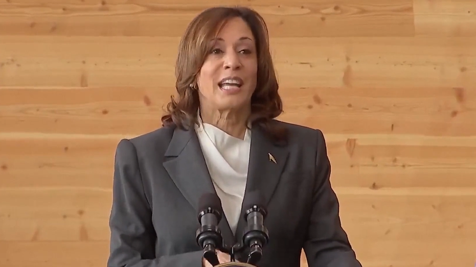 Kamala Harris has ‘rabbit ears’ for any ‘hint of criticism,’ frustrating Biden White House: book