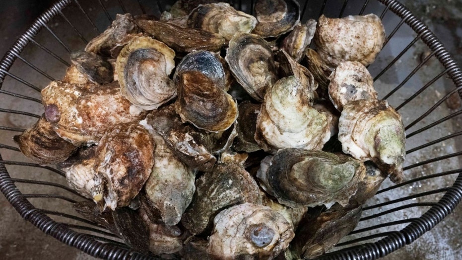 Texas man dies after raw oyster dinner linked to bacteria in shellfish