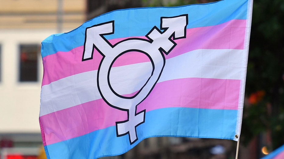 Ohio bans 'gender-affirming care' for minors, restricts transgender athletes despite GOP governor veto