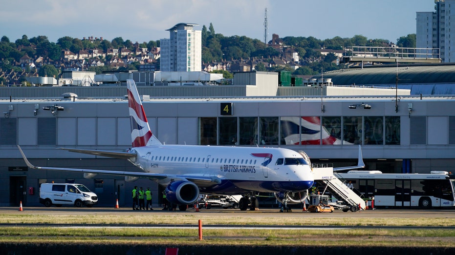 Technical failure that halted UK air traffic blamed on issues with flight data