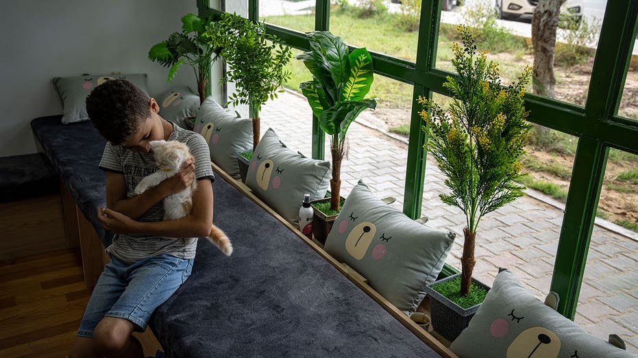 Residents of besieged Gaza escape life hardships with city’s 1st cat cafe