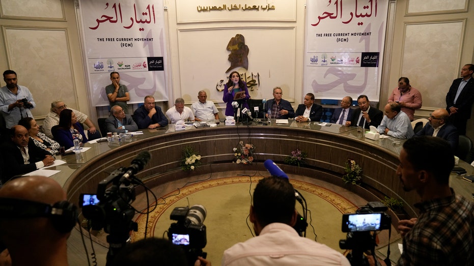 Multi-party coalition criticizes Egyptian government in rare show of dissent