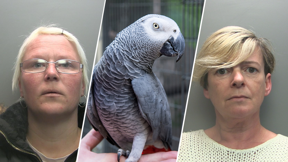 Women sentenced to time in prison after they ‘sadistically tortured’ pet parrot to death