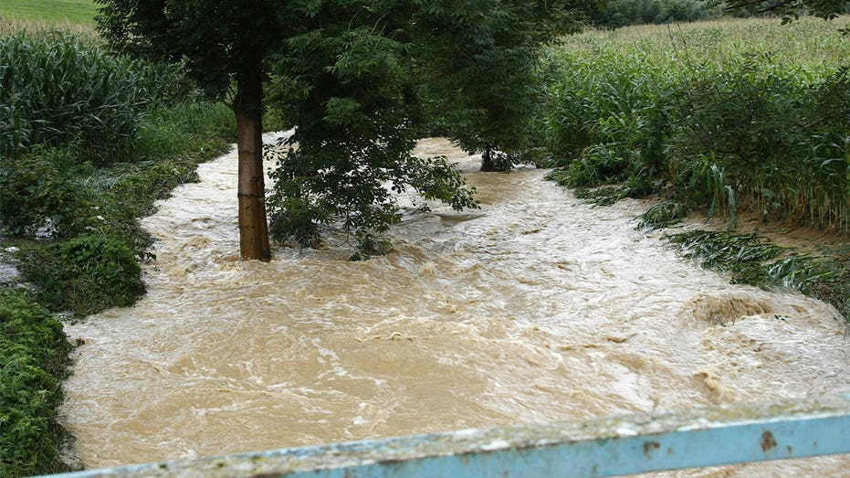 1 dead after torrential rains in Austria sweep victim into swelling river