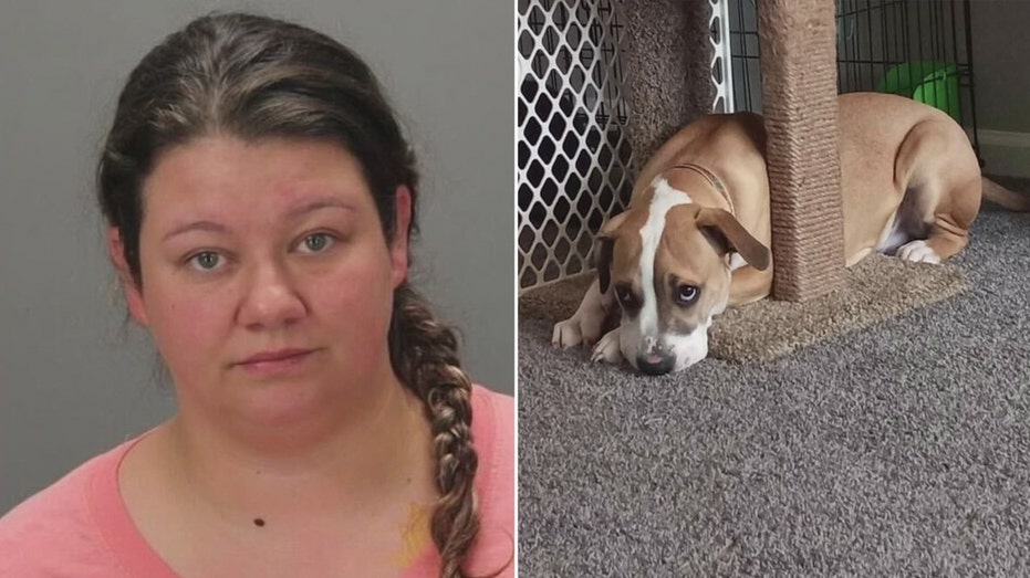 931px x 523px - Michigan woman charged with performing sex act on dog, caught by  ex-boyfriend | Fox News