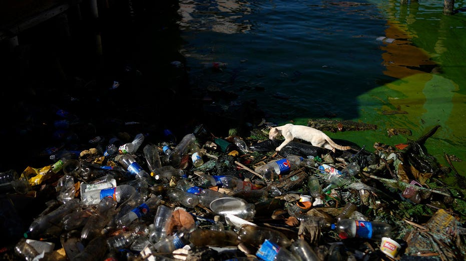 World’s largest lake in Venezuela now a polluted wasteland due to pollution, oil, toxic algae, experts say