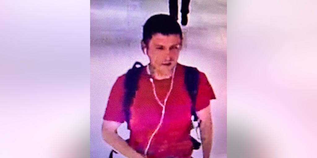 Canadian police looking for suspect accused of spraying ink on people - Vimarsana News
