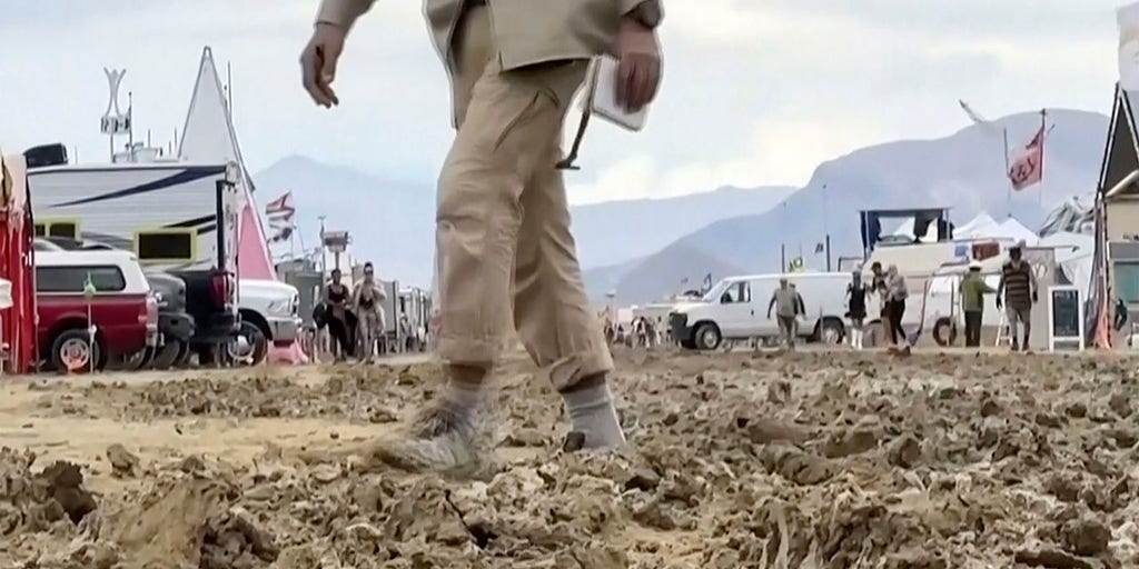 Burning Man attendee's cause of death confirmed: report - Vimarsana News