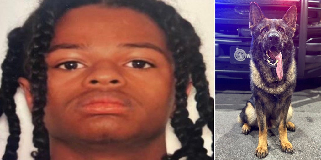Georgia suspect, 17, killed after fatally shooting police K-9, authorities say - Vimarsana News