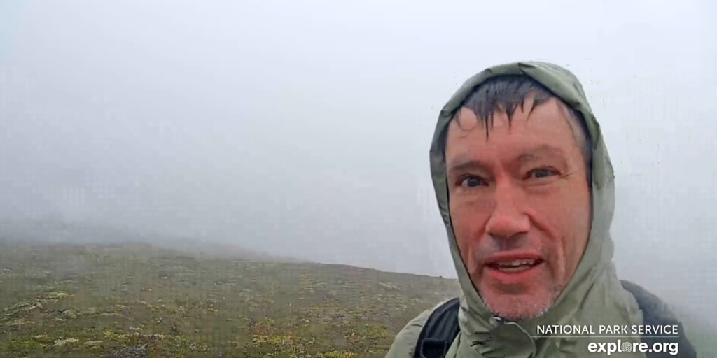 Lost Alaska hiker rescued after viewers spot him on bear cam asking for help - Vimarsana News