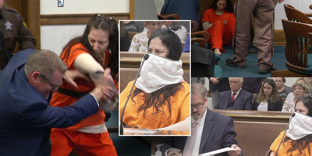 'Lady Dahmer,' who beheaded lover in meth-fueled tryst, 'deserves to be happy': lawyer - Vimarsana News