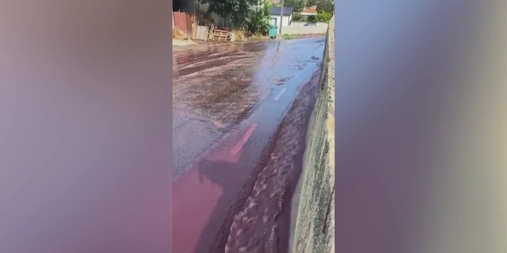 Red wine flows through town's streets after distillery tank accident releases more than half a million gallons - Vimarsana News