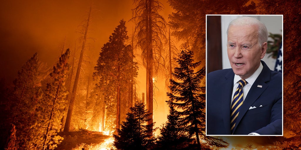 Biden admin caught pushing misleading narrative on dire budget warnings impacting firefighters, data shows - Vimarsana News