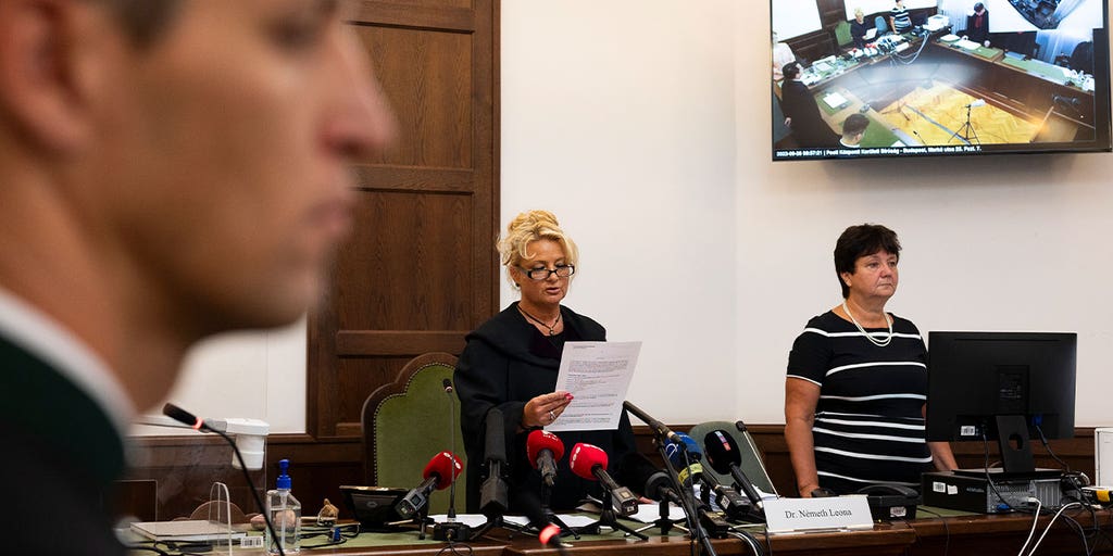 Ukrainian captain found guilty after cruise boat collides with another vessel in Hungary, causing 27 deaths - Vimarsana News