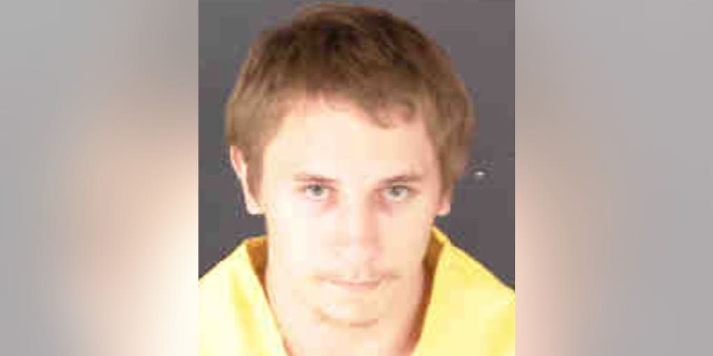 Adopted Ukrainian son, 22, charged with murdering Florida parents, leading police on hourslong manhunt - Vimarsana News