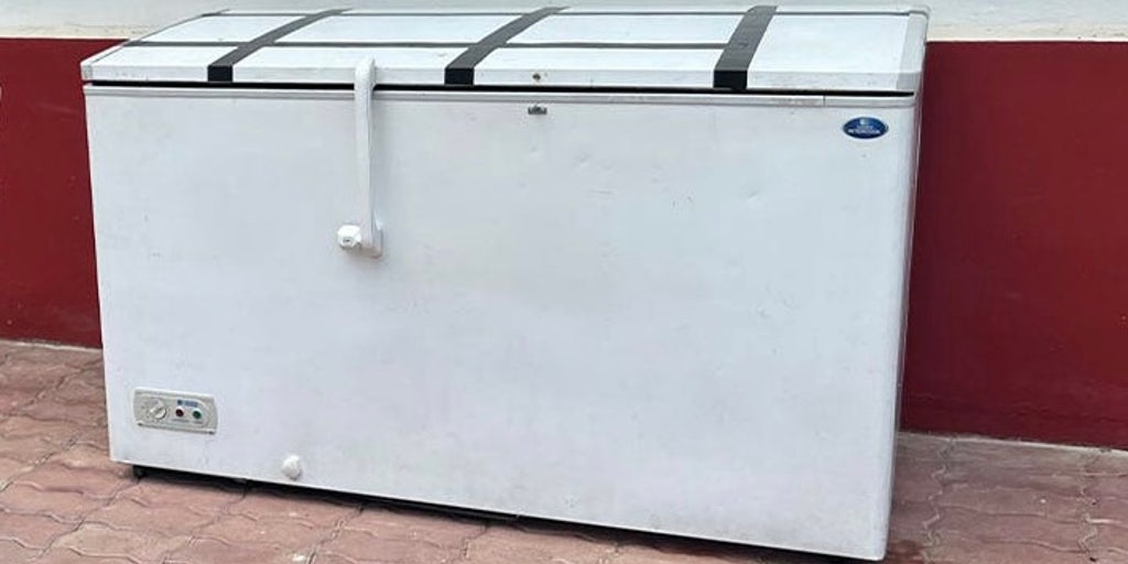 Man busted for scheme to collect wife's pension after gruesome find in freezer - Vimarsana News