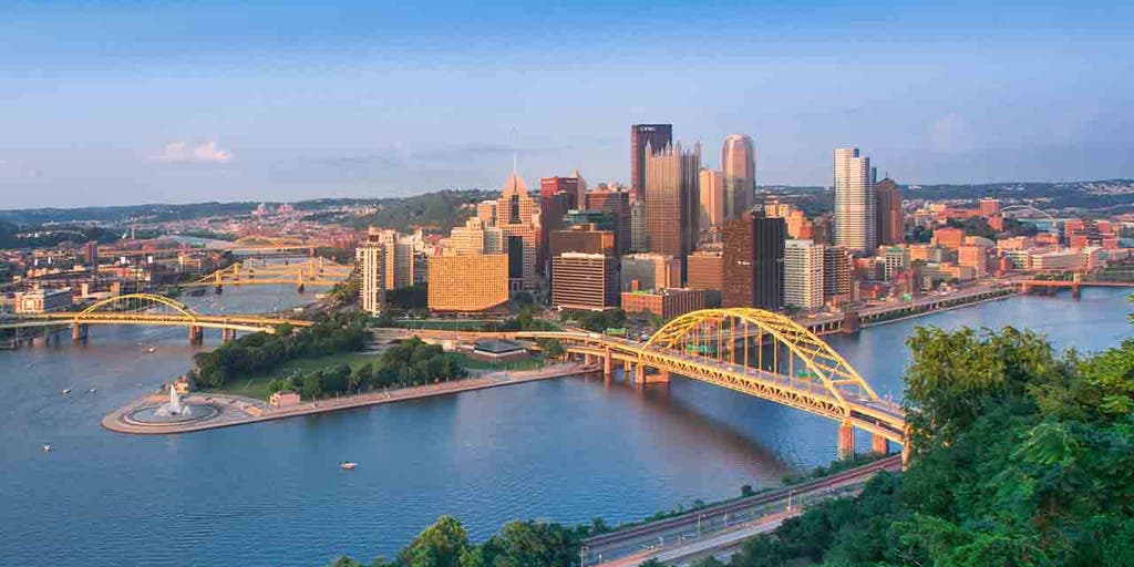 City of Pittsburgh is seeking archers to help deal with deer population crisis in parks - Vimarsana News
