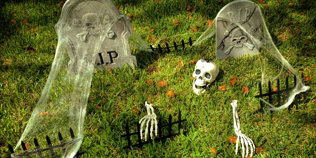 This popular Halloween decoration could be a danger to wildlife: Here's why - Vimarsana News