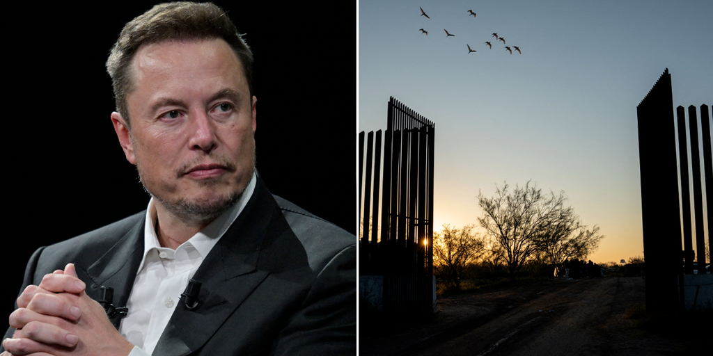 DOGE chief Musk bashes massive government spending on illegal immigrants: 'Boggles the mind!'