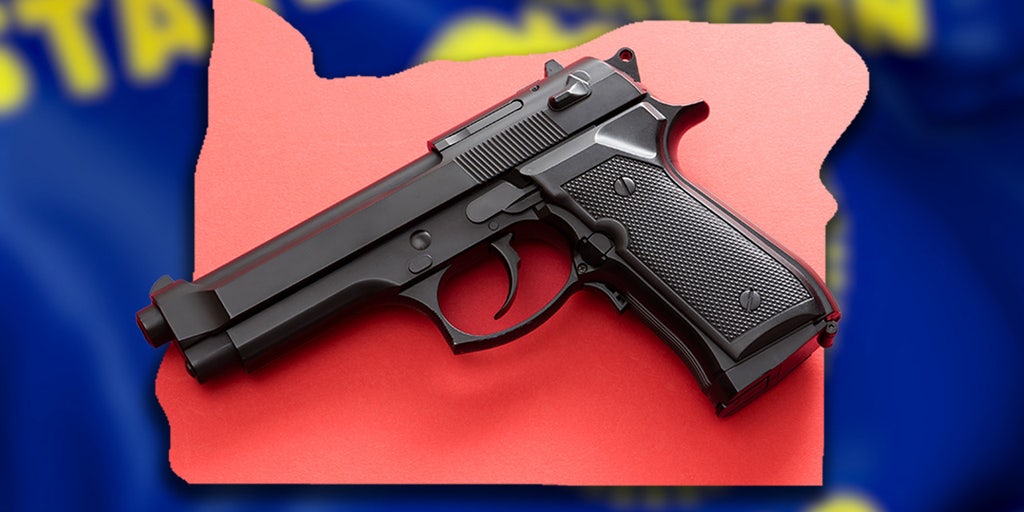 America's 'most extreme' gun control law heads to court - Vimarsana News