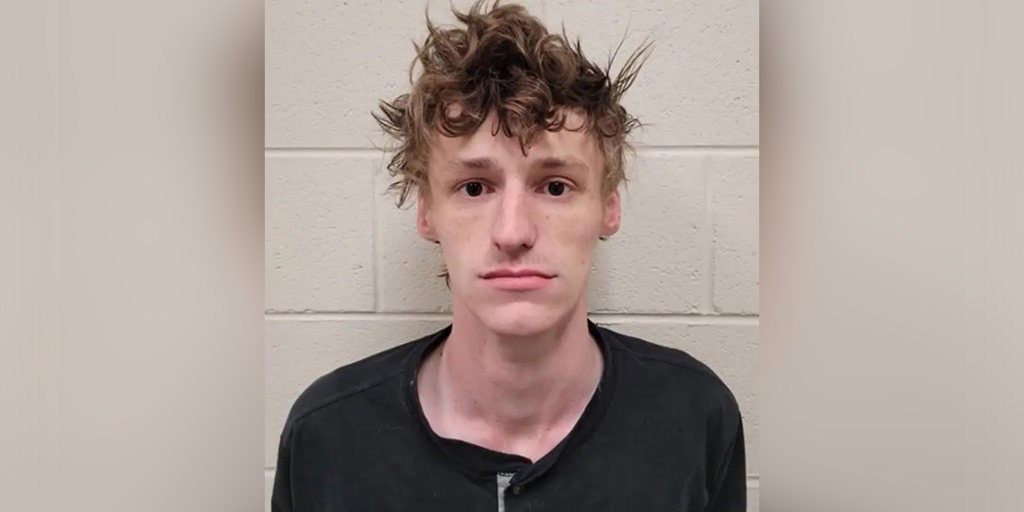 Illinois carjacker kills woman by zip-tying her throat, leaves note saying it was his 'only choice': police - Vimarsana News