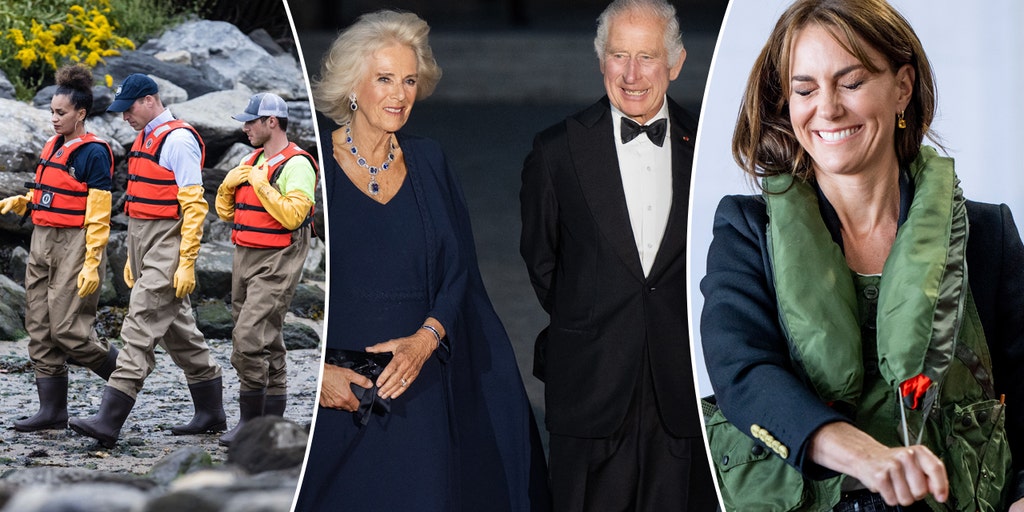 Prince William and Kate get wild while King Charles parties with Mick Jagger: PHOTOS - Vimarsana News