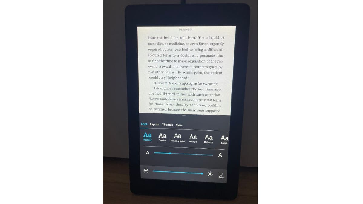 Image of a passage from a book on Amazon Kindle to show the font size