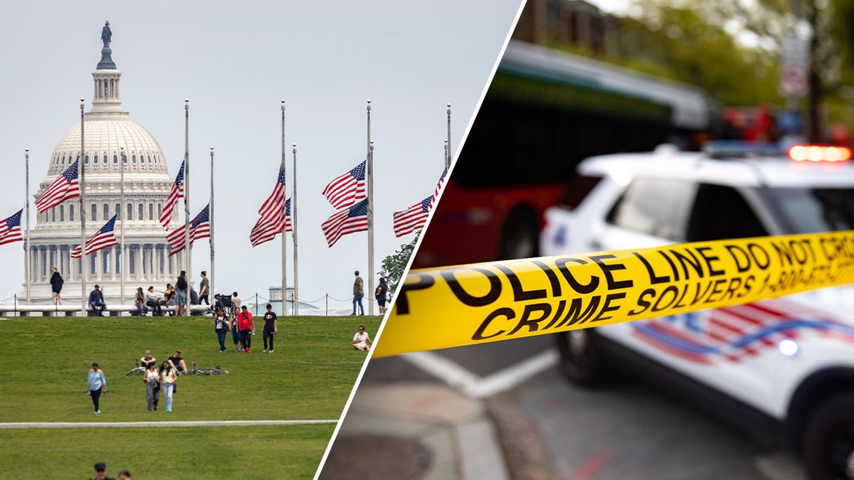 Washington D.C. crime