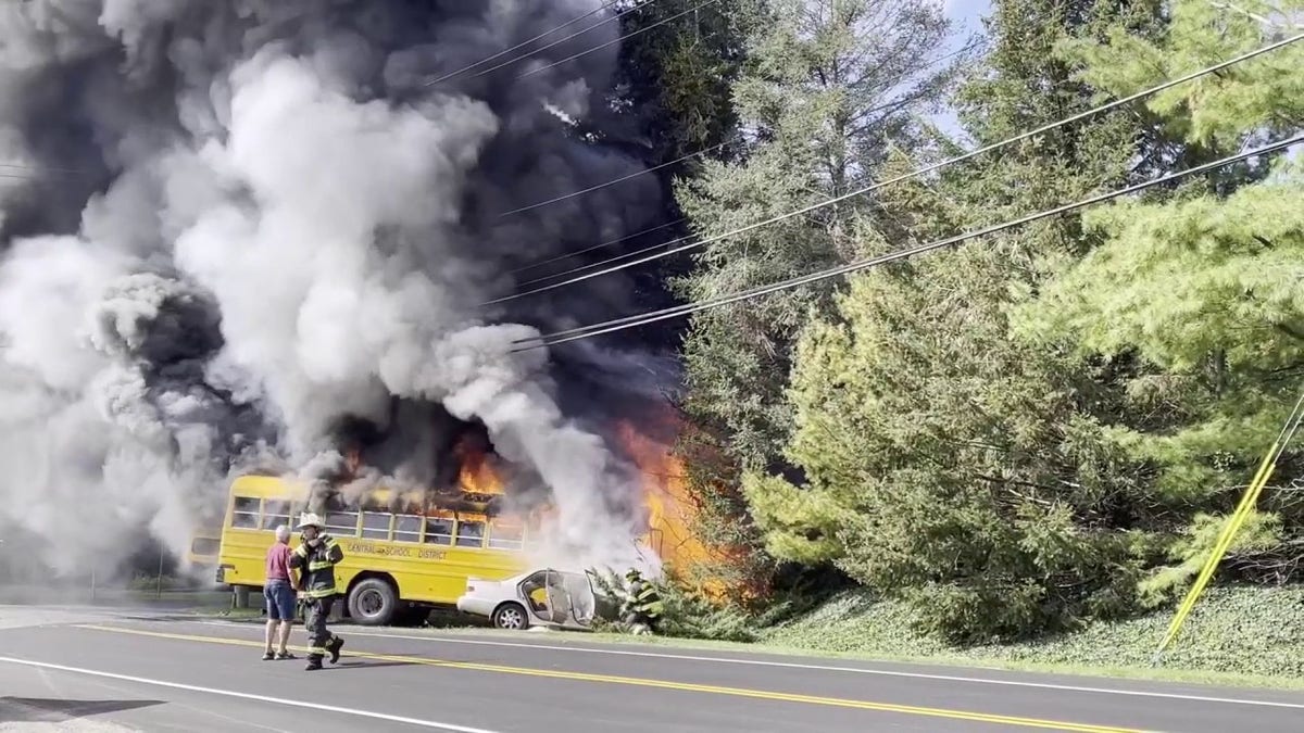 School Bus X Video - Driver dies in fiery crash with New York school bus returning from field  trip: video