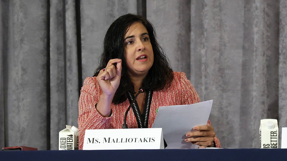 Rep. Nicole Malliotakis, R-N.Y., questioning NYPD Deputy Commissioner of Intelligence and Counterterrorism