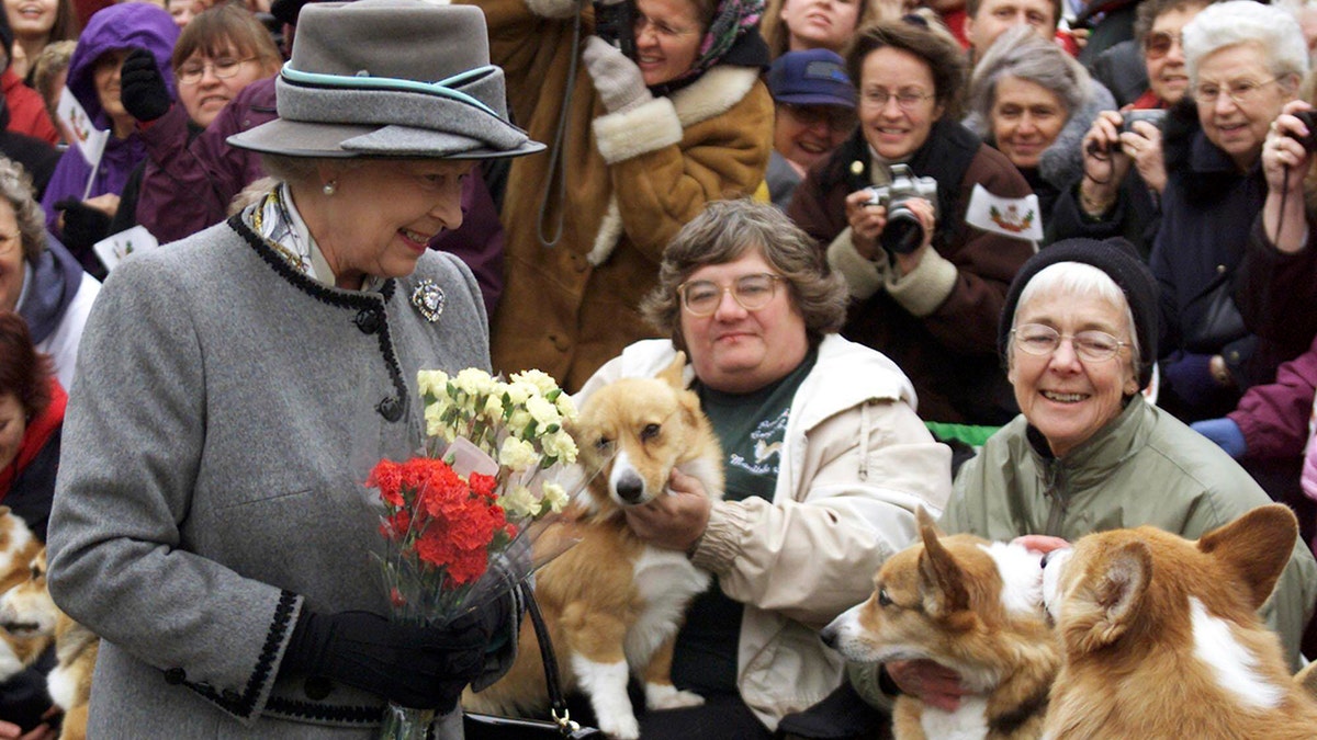 British corgis parade outside Buckingham Palace to honor Queen Elizabeth II's death, one year later 2 Queen Elizabeth II with corgis