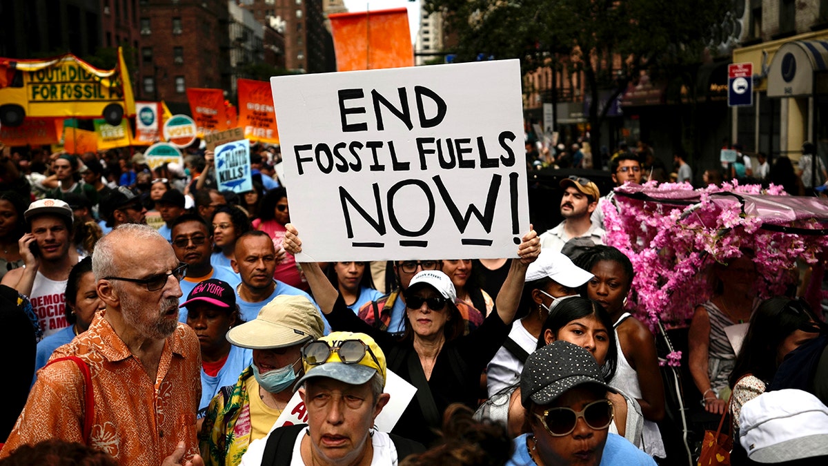 Protesters, signs