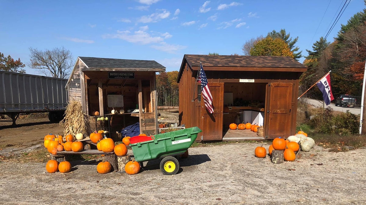Brayden's veg stand