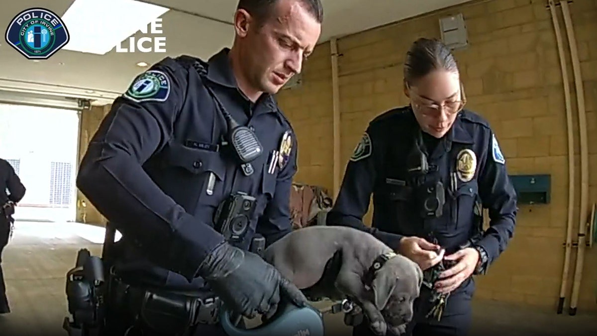 Officers hold up puppy after administering Narcan